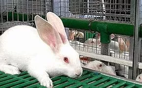 Stage Territoire TSTAV et 2nde GT 