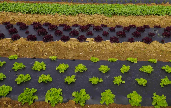 Stage Territoire TSTAV et 2nde GT 