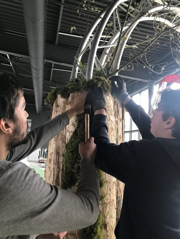 Les élèves de Tpro préparent le Salon Tendance Nature