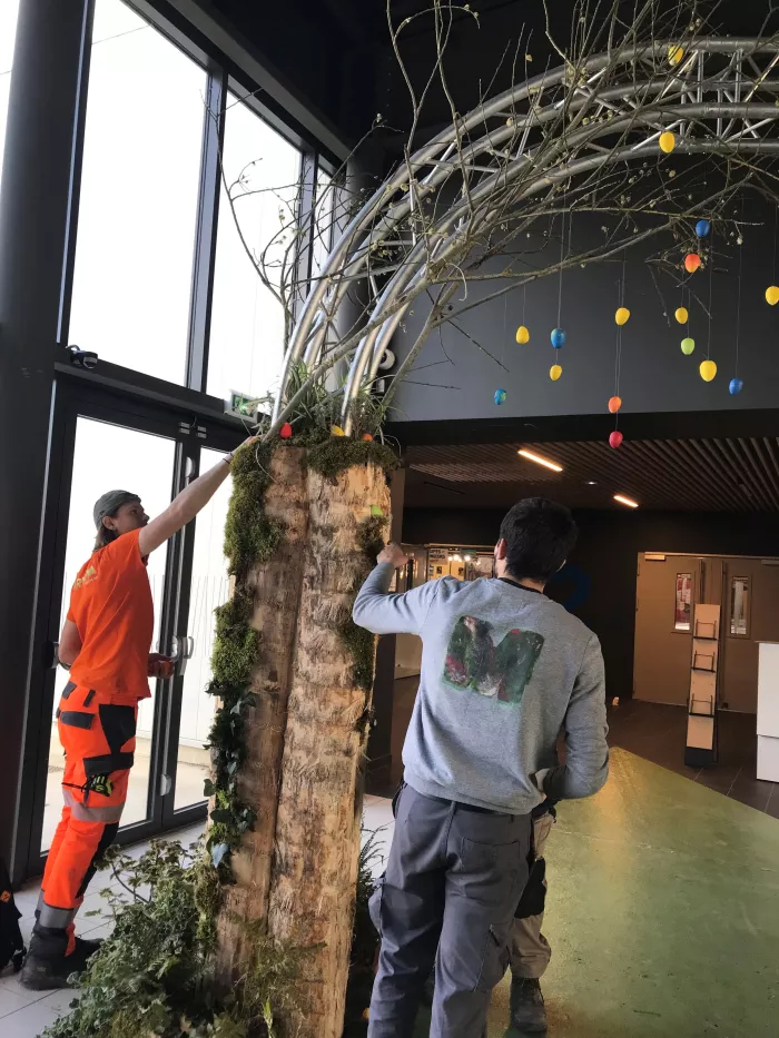 Les élèves de Tpro préparent le Salon Tendance Nature