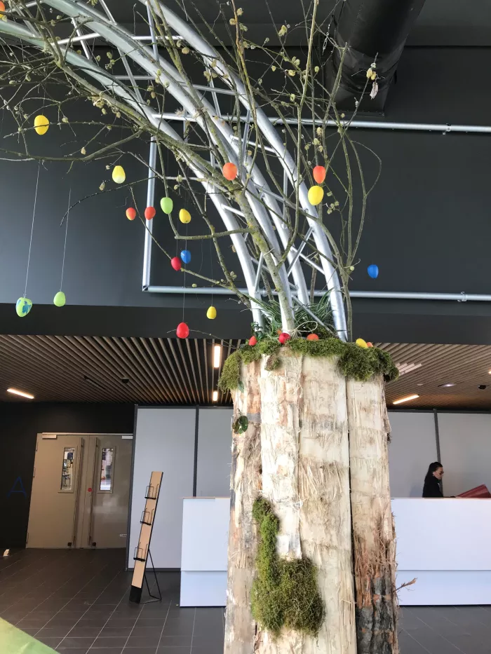 Les élèves de Tpro préparent le Salon Tendance Nature