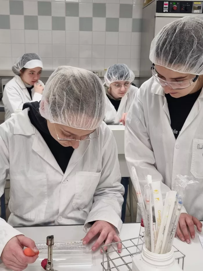 Challenge Bac Pro : Team LCQ