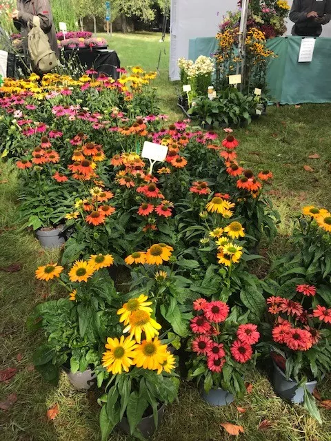 Sortie Fête des Plantes au Château de Saint-Jean de Beauregard