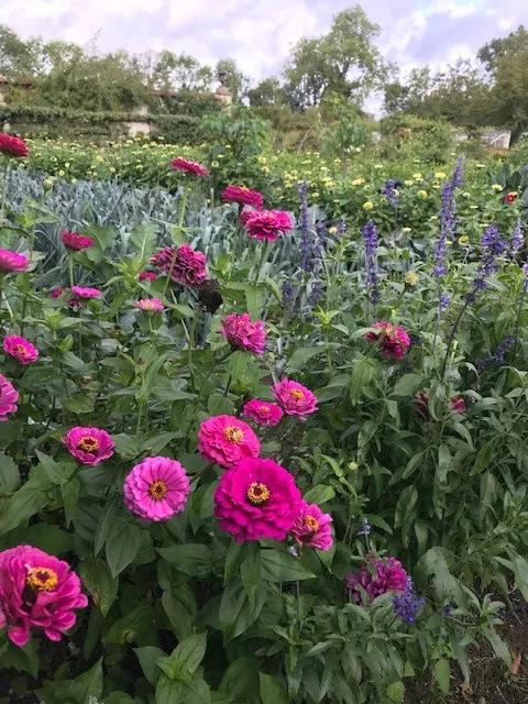 Sortie Fête des Plantes au Château de Saint-Jean de Beauregard