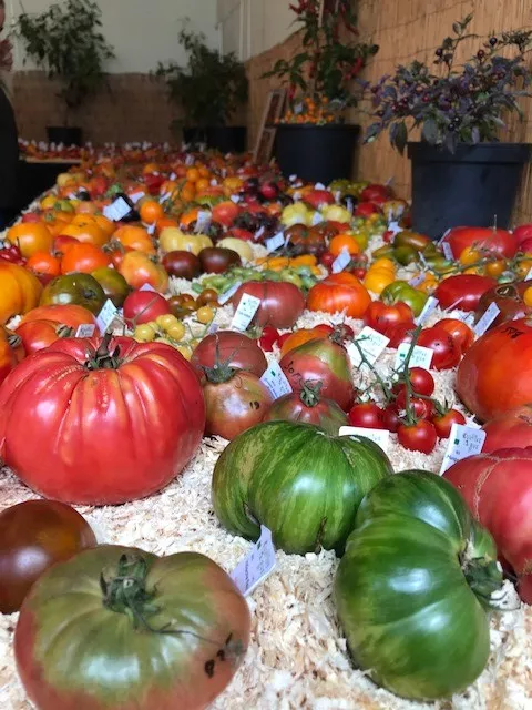 Sortie Fête des Plantes au Château de Saint-Jean de Beauregard
