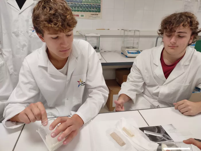 Initiation "option transformation" 1ère STAV