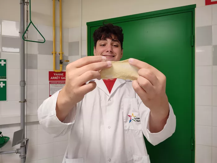 Initiation "option transformation" 1ère STAV