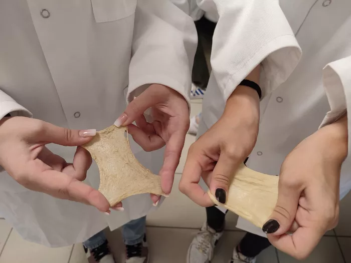 Initiation "option transformation" 1ère STAV