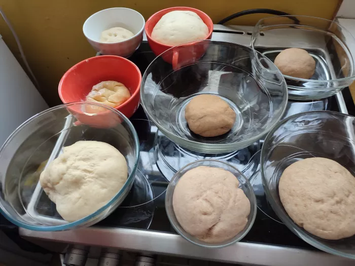 Initiation "option transformation" 1ère STAV