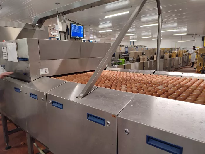 2ème journée Stage territoire 1ère & Term. STAV