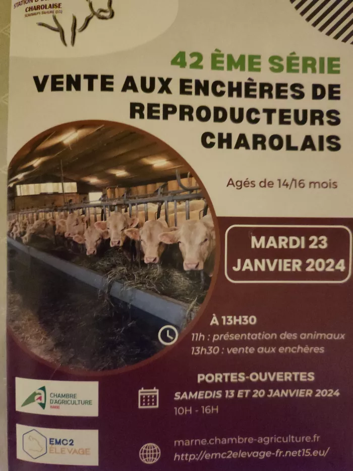 2ème journée Stage territoire 1ère & Term. STAV