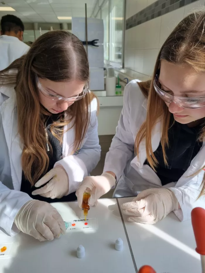 Les cordées de la réussite