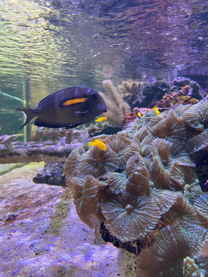 Les élèves de 2nde et 1ère Pro en visite à la Cité des Sciences et de l'Industrie