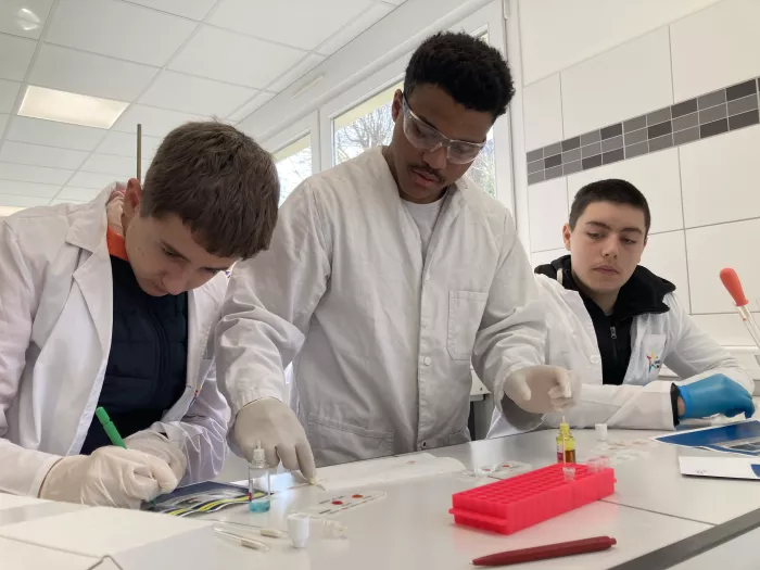 Les cordées de la réussite