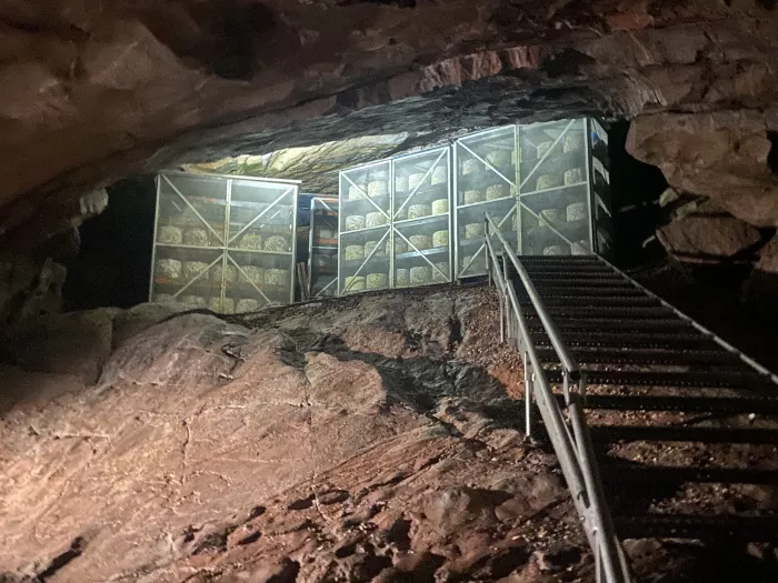 Voyage au Pays de Galles Jour 5