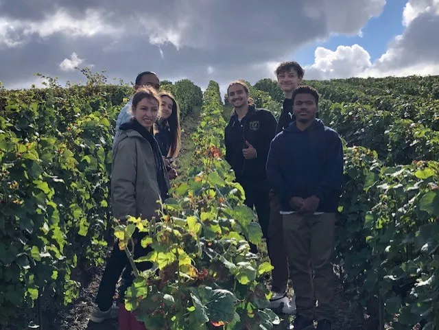 MAP Champagne TPro LCQ