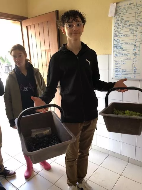 MAP Champagne TPro LCQ