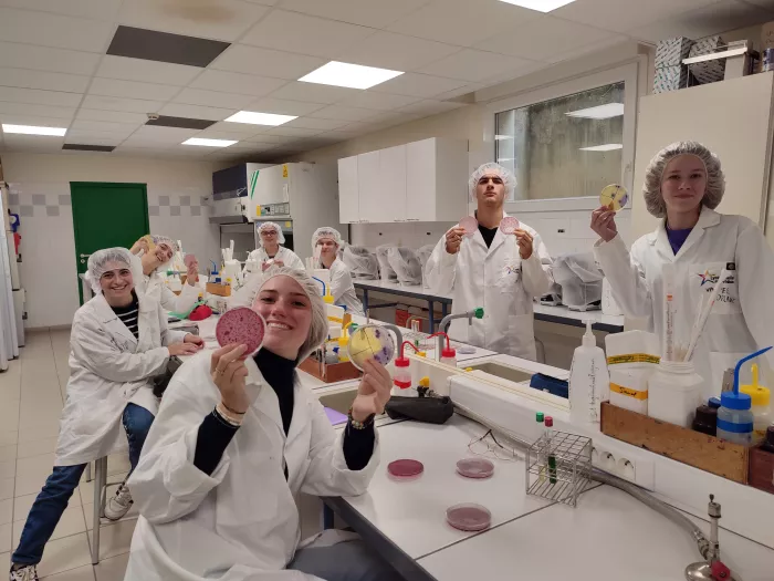 TP de microbiologie 1ère STAV option transformation