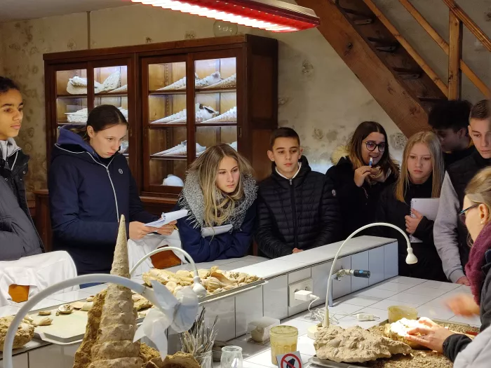 Visite de la cave aux coquillages