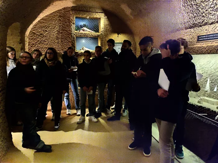 Visite de la cave aux coquillages