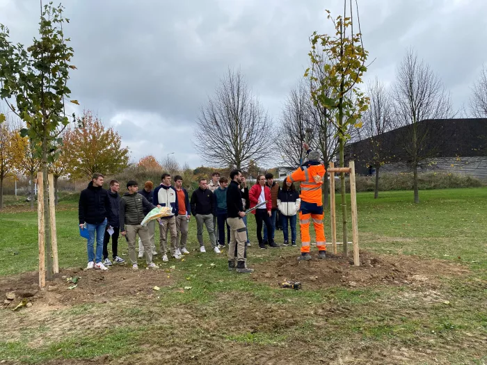 Chantier de plantation