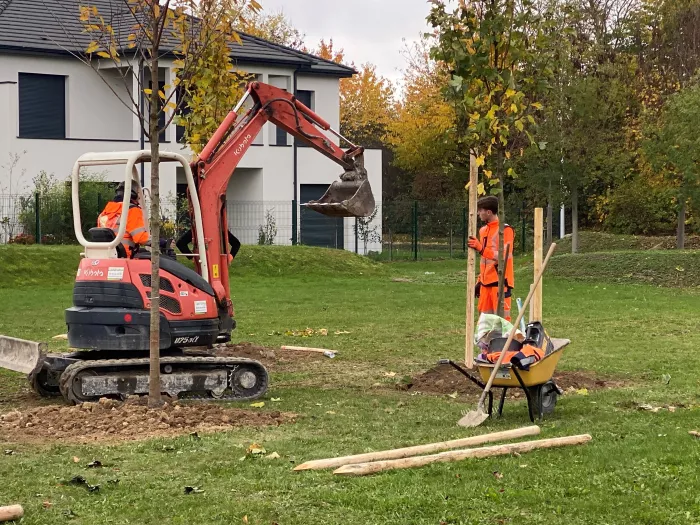 Chantier de plantation