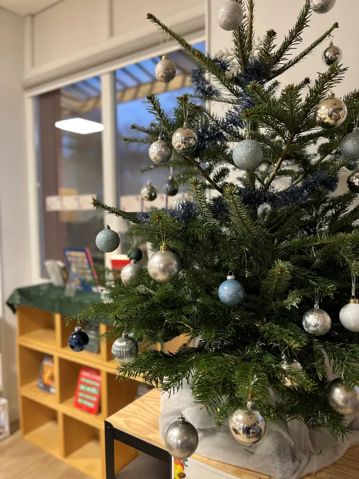 Installation et décoration des sapins par les collégiens