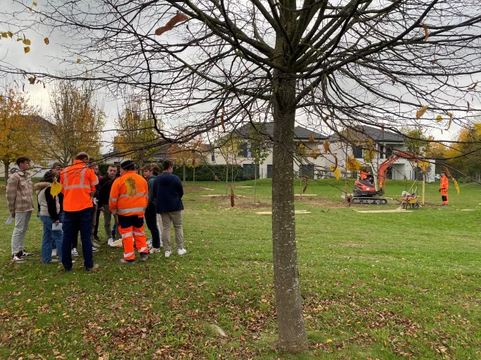 Chantier de plantation