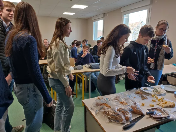 Pratiques professionnelles STAV