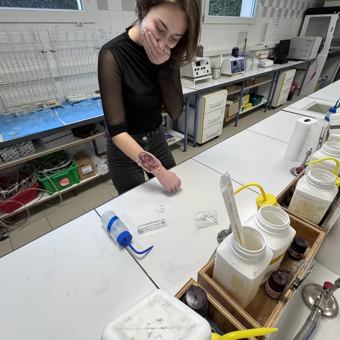 Formation SST BTS ANA2