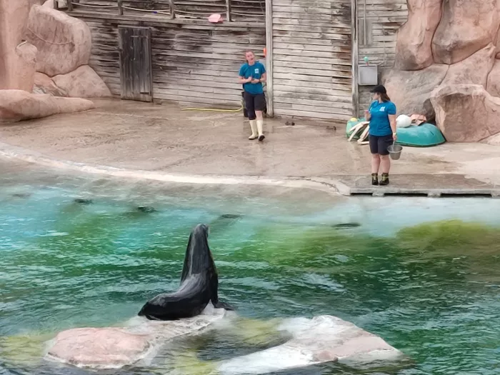 Visite au Zoo d'Amnéville 2nde GT, 1ère et Terminale Pro.