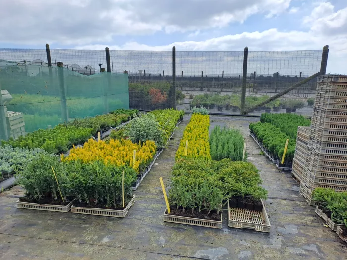 Visites Jardins et Pépinières BTSA Aménagements Paysagers