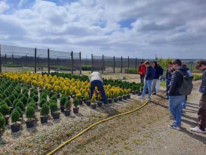 Visites Jardins et Pépinières BTSA Aménagements Paysagers
