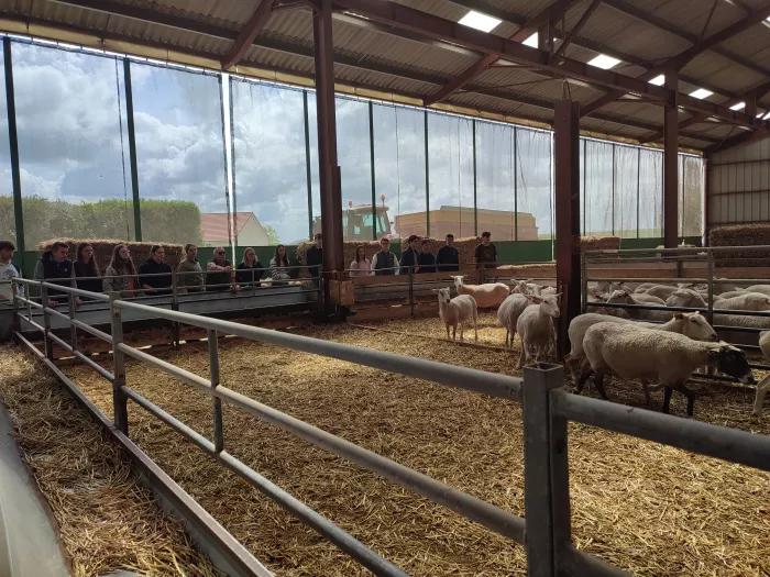 Visites 1ère et Terminale STAV