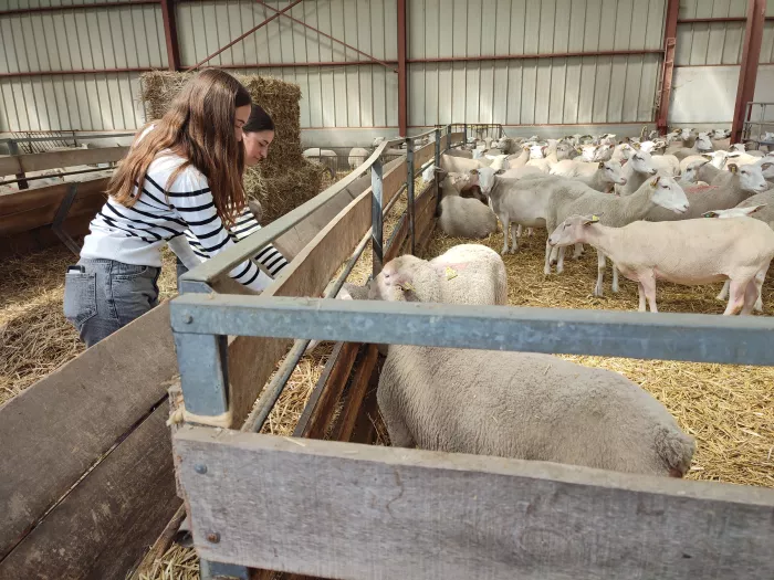 Visites 1ère et Terminale STAV