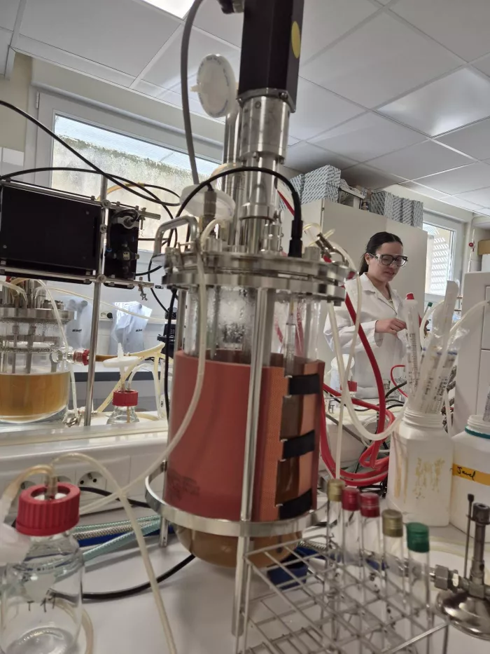 Semaine "Bioréaction" BTS ANA2