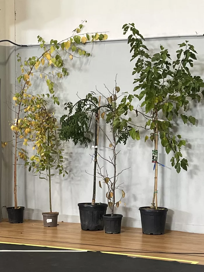 Congrès du CNEAP 7 octobre 2025