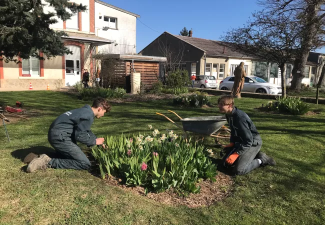 Travaux pratiques et CCF : les élèves en aménagements paysagers en action !