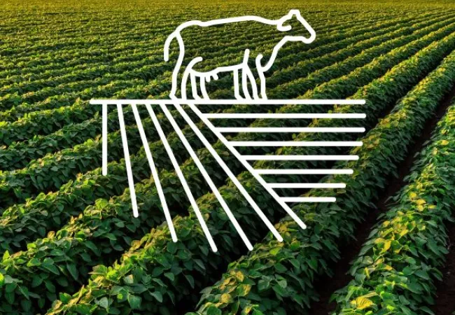 Pour quel métier de l'agriculture es-tu fait ? #JeunesDeter